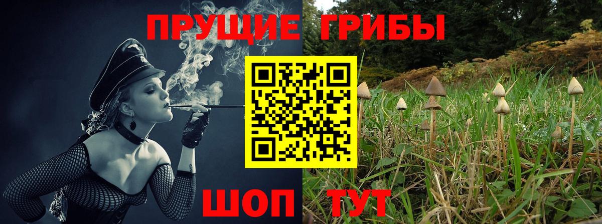 Галлюциногенные грибы Cubensis Избербаш