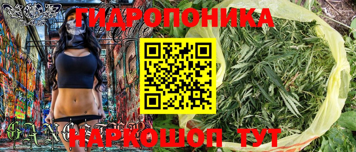 Каннабис OG Kush  МАРИХУАНА MAZAR  Избербаш  Вход с VPN 